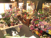 Wolverhampton Flowers