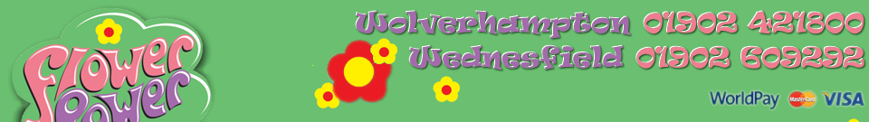 Buttercups and Daisies Florists Wolverhampton