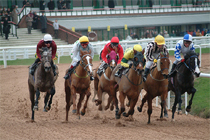 Wolverhampton Races